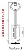 ГАРДИАН-3 - сувальдная заготовка ключа (дверняк короткий, широкий 96ммx24.6ммх4.9мм), (комплект 5шт)